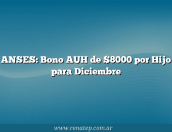 ANSES: Bono AUH de $8000 por Hijo para Diciembre