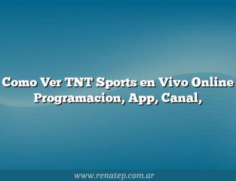 Como Ver TNT Sports en Vivo Online  Programacion, App, Canal,
