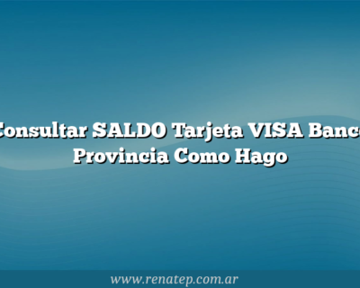 Consultar SALDO Tarjeta VISA Banco Provincia  Como Hago