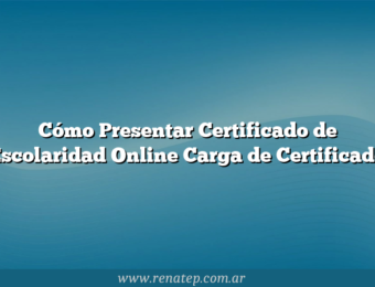 Cómo Presentar Certificado de Escolaridad Online  Carga de Certificado