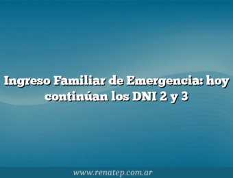 Ingreso Familiar de Emergencia: hoy continúan los DNI 2 y 3