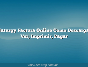 Naturgy Factura Online Como Descargar  Ver, Imprimir, Pagar