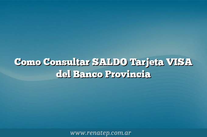 Como Consultar SALDO Tarjeta VISA del Banco Provincia