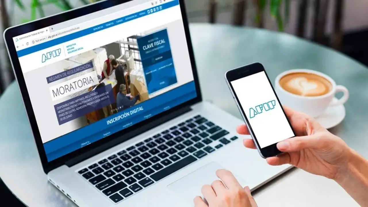 Como Consultar Mis Aportes De Anses Y Afip Rapidamente