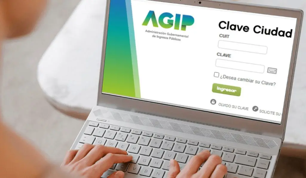 Que Pasa Con Afip Y Como Afecta A Contribuyentes En Argentina