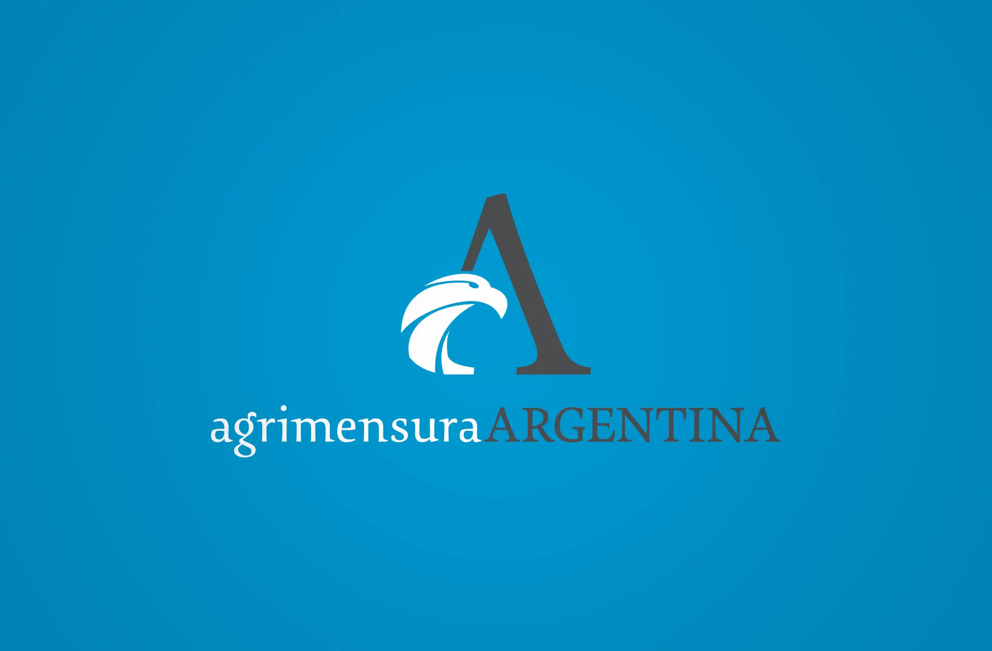 Que Tareas Realiza Un Agrimensor En Argentina Y Para Que Sirve
