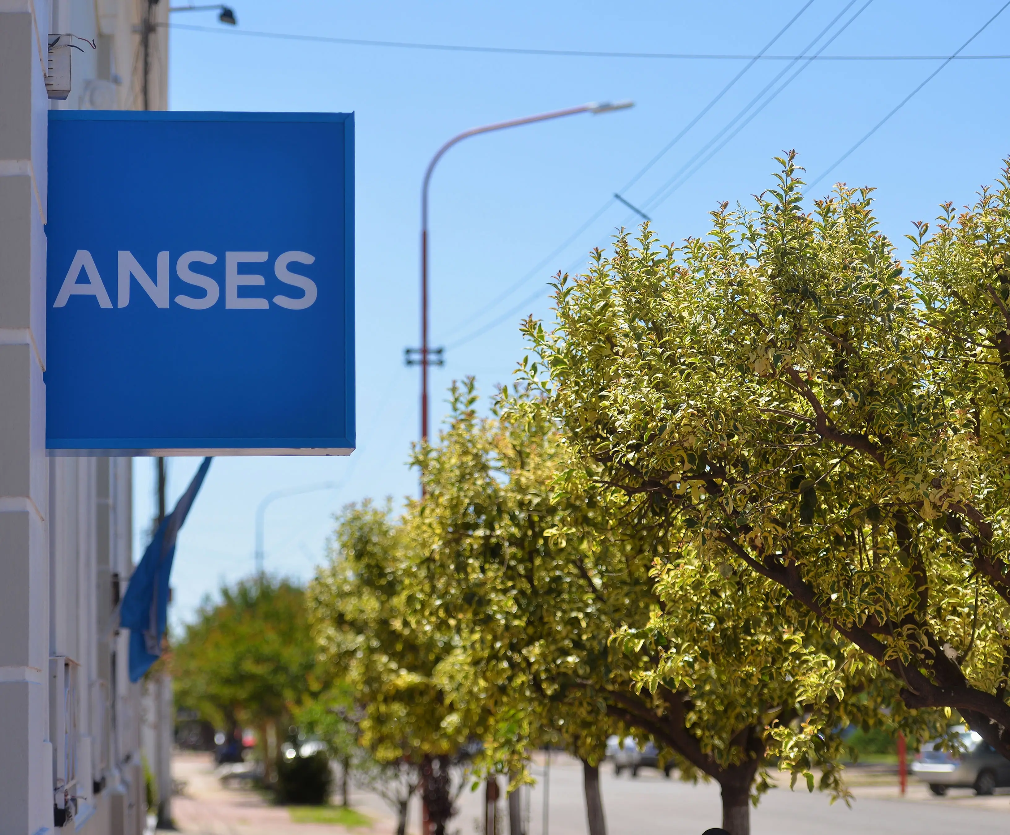 Como Actualizar Mis Datos De Contacto Y Domicilio En ANSES