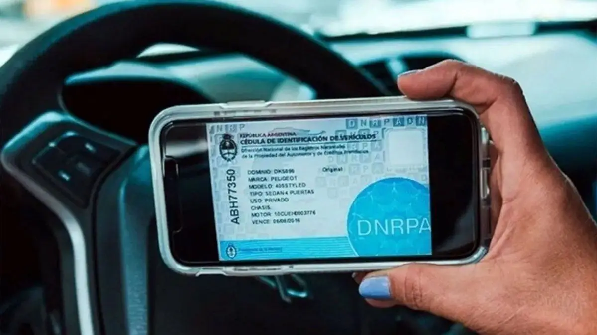 Sigue Vigente La Cedula Azul Para Conducir Vehiculos En Argentina