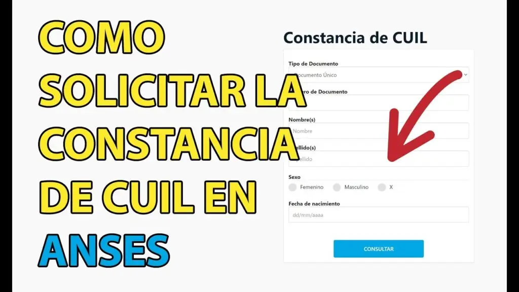 COMO CONSULTAR TU CUIL EN ANSES USANDO SOLO EL DNI