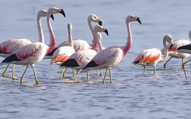 QUE ACTIVIDADES SE PUEDEN HACER EN LAGUNA MAR CHIQUITA CORDOBA