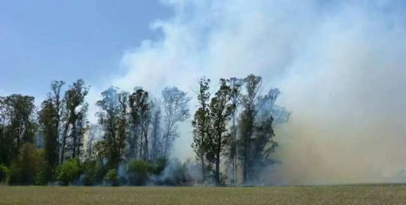 COMO AFECTAN LOS INCENDIOS FORESTALES EN CORDOBA AL MEDIO AMBIENTE