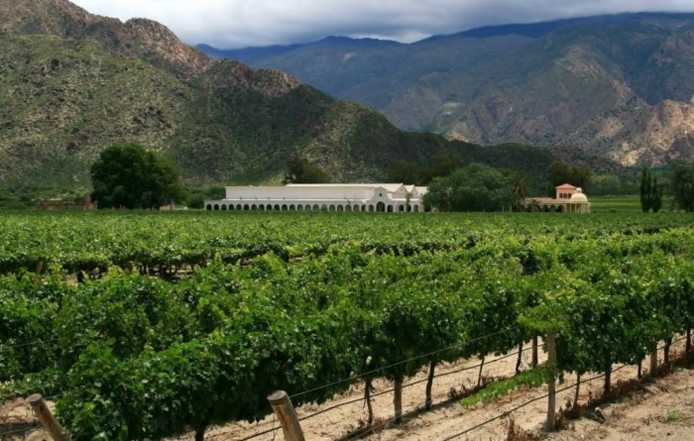 Que Actividades Y Lugares No Perderse En Cafayate