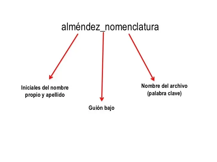 Como Buscar Un Documento Por Nombre Facilmente En Tu Computadora