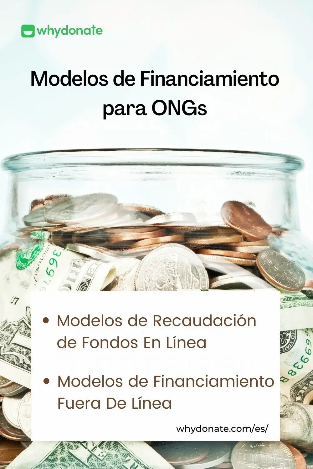 Que Son Las Organizaciones No Gubernamentales De Argentina Y Como Funcionan