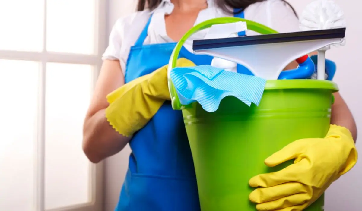 Puede Una Empleada Dom&eacute;stica Estar En Blanco En Dos Trabajos Simult&aacute;neos