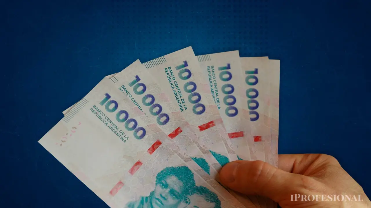 Cuales Son Los Sueldos Minimos Del Personal Domestico Segun La Afip