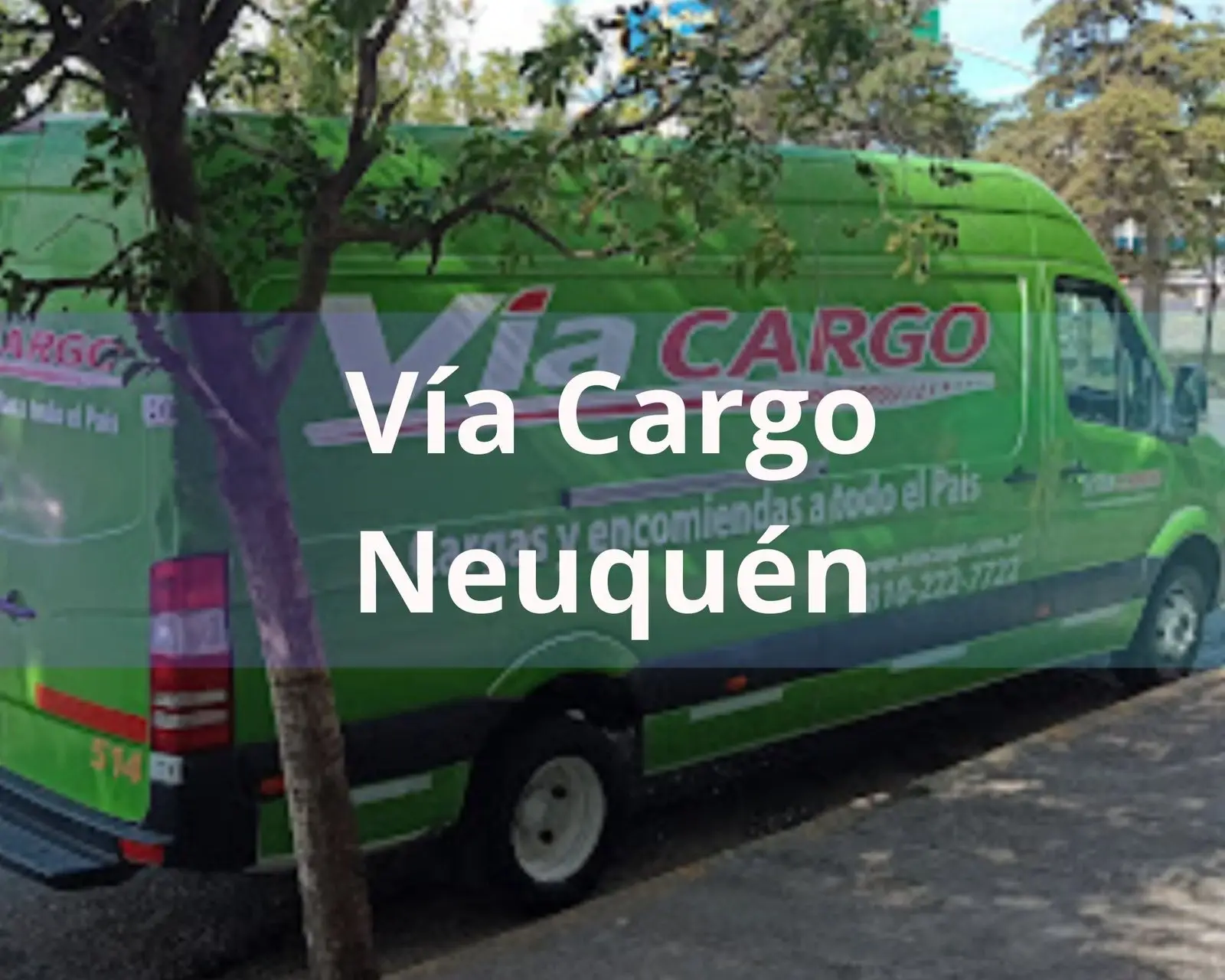 Como Hacer El Seguimiento De Envio De Via Cargo Facilmente